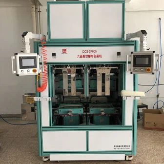 Máquina automática de embalagem de sal DCS-5F60N